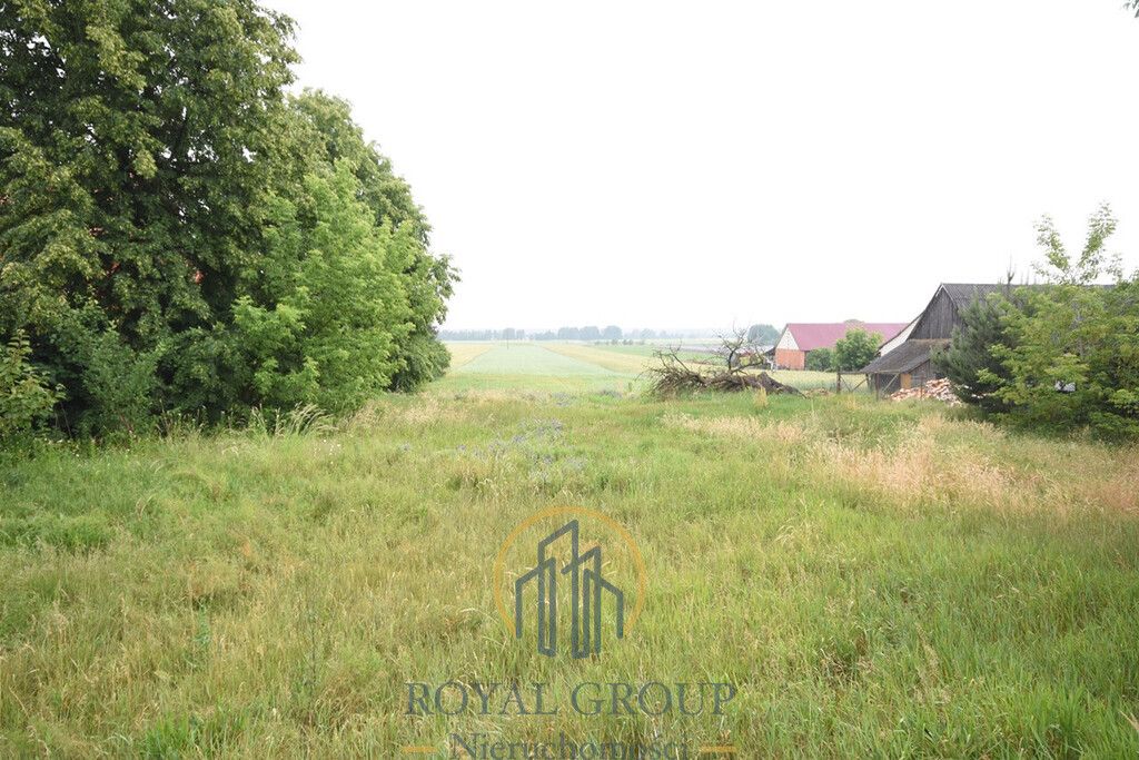 Działka Ostrówek. Zdjęcie 6