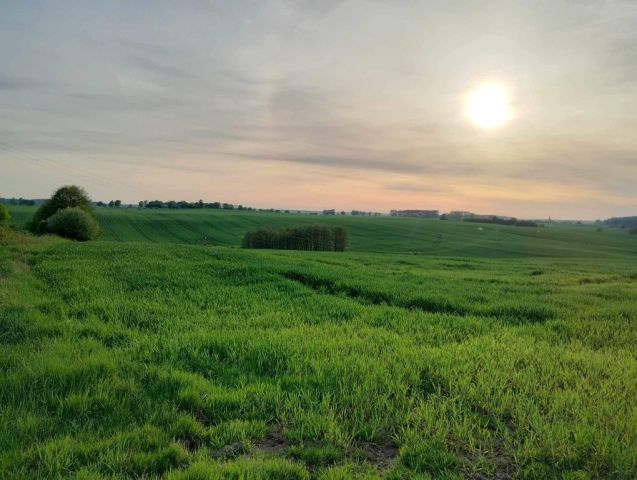 Działka budowlana Gietrzwałd. Zdjęcie 1