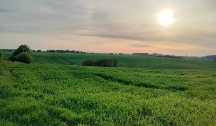 Działka budowlana Gietrzwałd