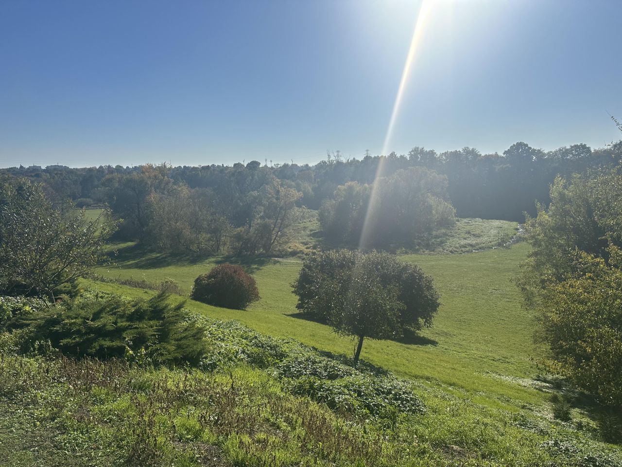 dom wolnostojący, 11 pokoi Witaniów. Zdjęcie 6