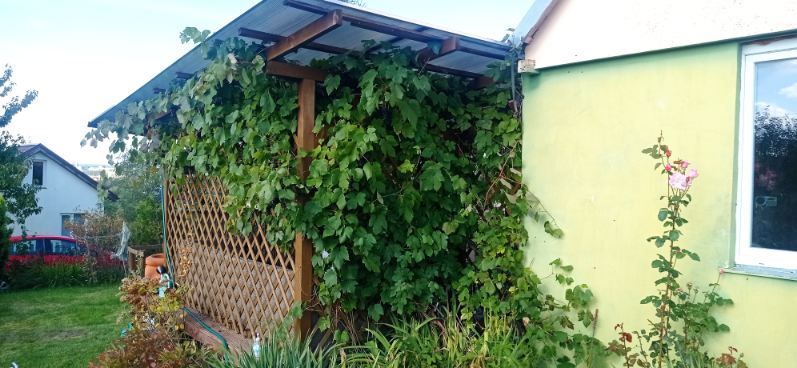 Działka rod Suwałki, ul. Czarnoziem. Zdjęcie 3