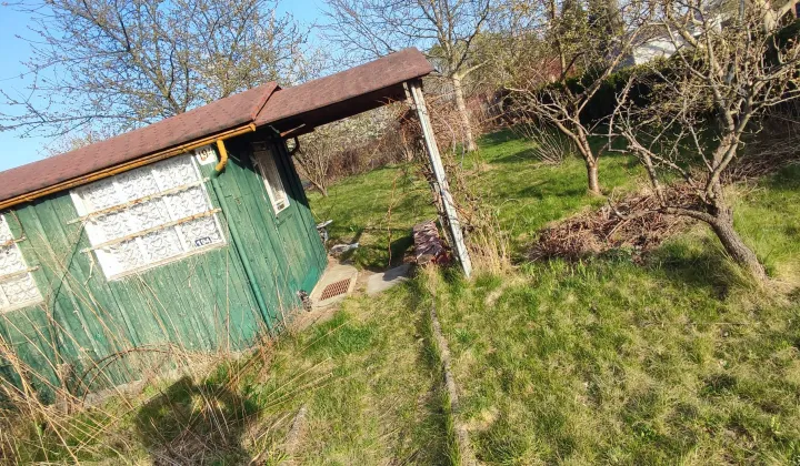 Działka rod Nowa Sól Centrum, brzozowa