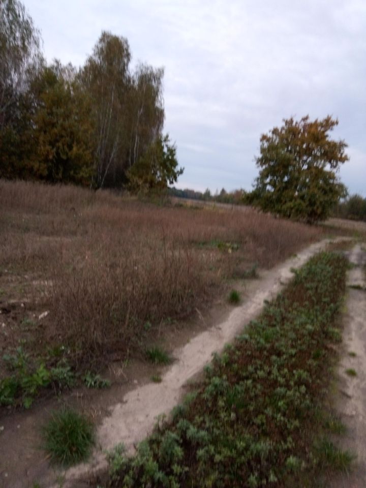 Działka rolno-budowlana Ławeczko Stare. Zdjęcie 12