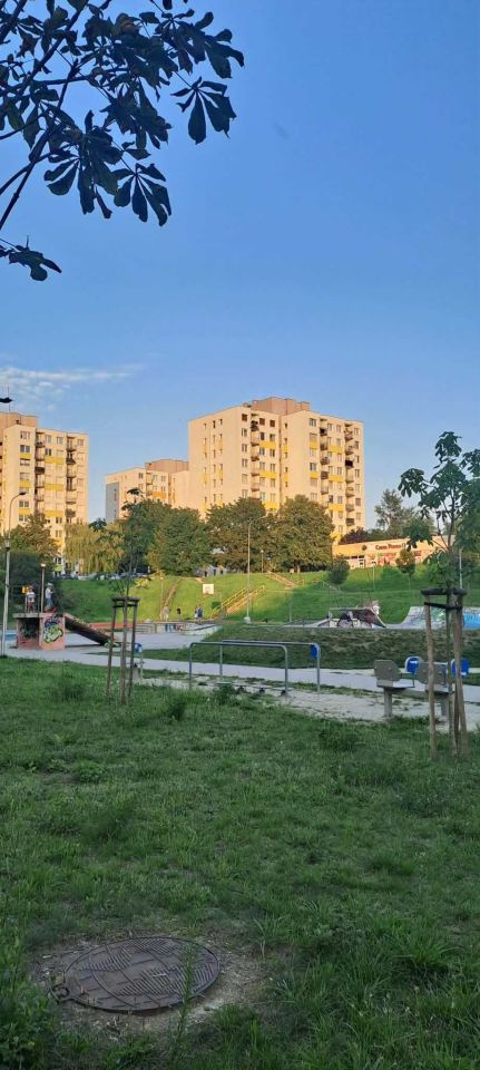 Mieszkanie 3-pokojowe Zielona Góra Centrum. Zdjęcie 8