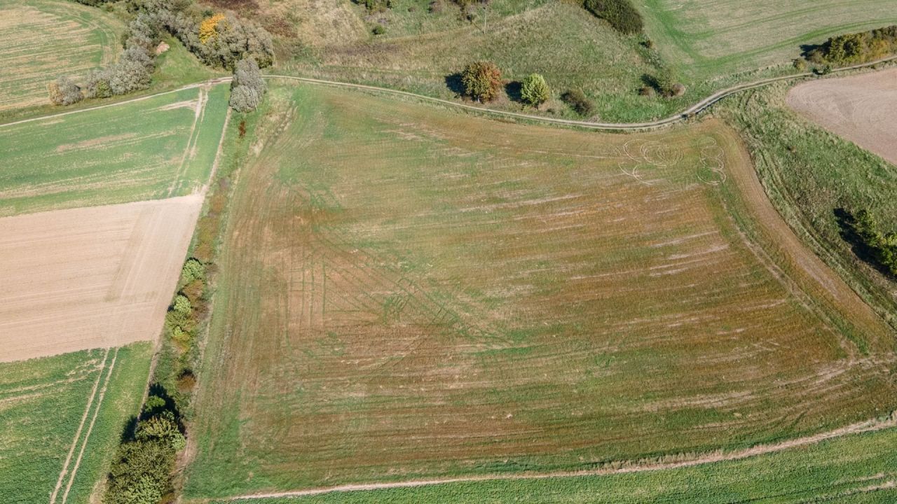 Działka inwestycyjna Wierzchosławice. Zdjęcie 13