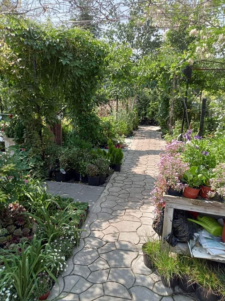 Lokal Płock Podolszyce, ul. Gościniec. Zdjęcie 5