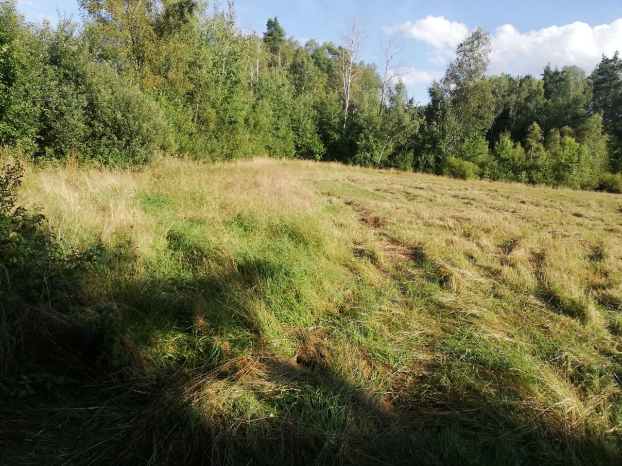 Działka rekreacyjna Śledziowa Huta. Zdjęcie 2