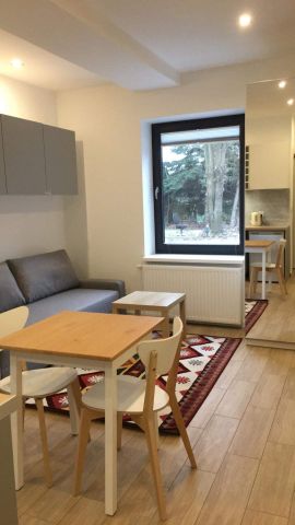 Mieszkanie 1-pokojowe Łódź Sikawa, ul. Powstańców Śląskich. Zdjęcie 1