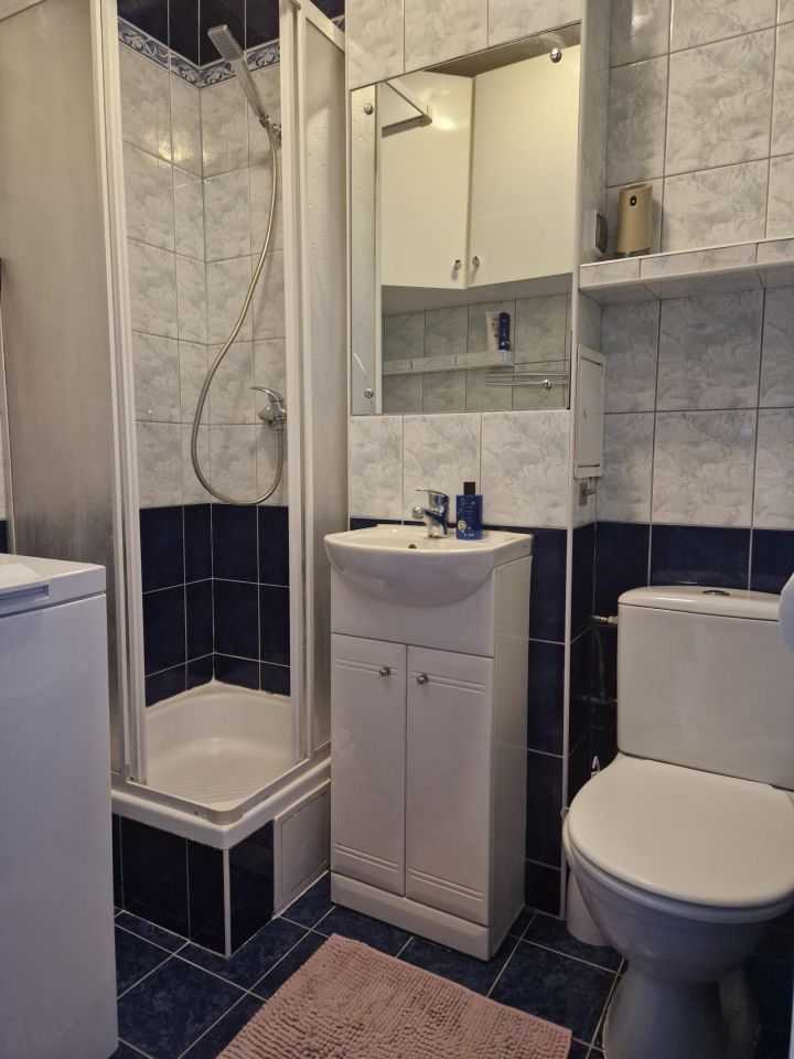 Mieszkanie 1-pokojowe Warszawa Wola, ul. Żelazna. Zdjęcie 5