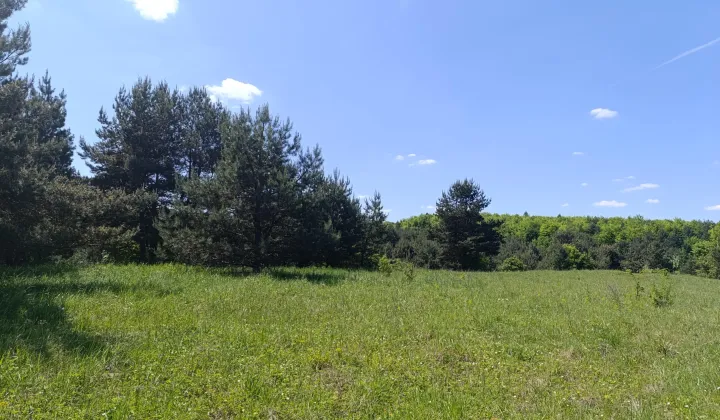 Działka budowlana Ryczówek Pod Lasem, ul. Krzewowa