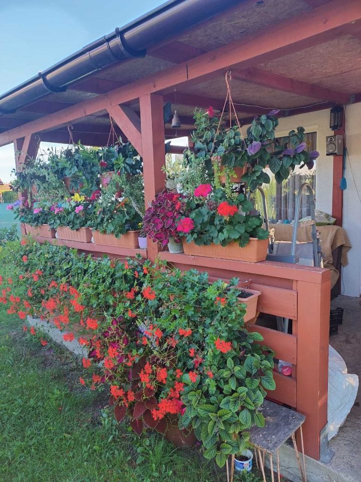 Działka rod Górzyca. Zdjęcie 3