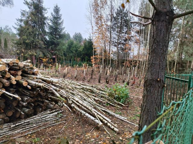 Działka rekreacyjna Stary Uścimów. Zdjęcie 1