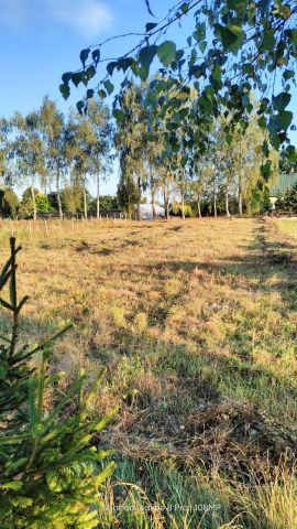 Działka budowlana Kościerzyna-Wybudowanie, ul. Spokojna. Zdjęcie 1