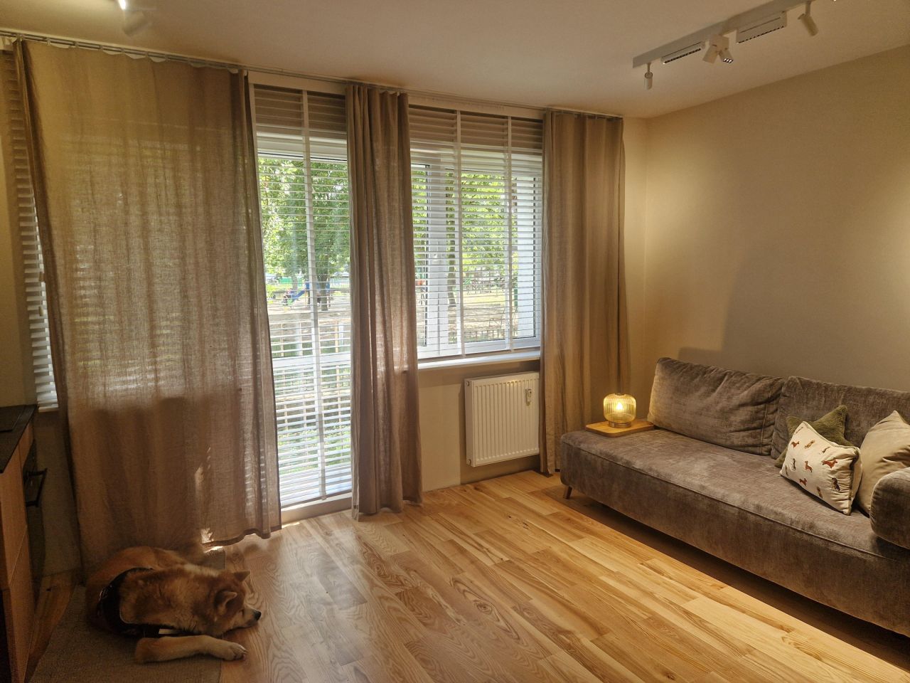 Mieszkanie 2-pokojowe Szczecin Centrum, ul. 1 Maja. Zdjęcie 1