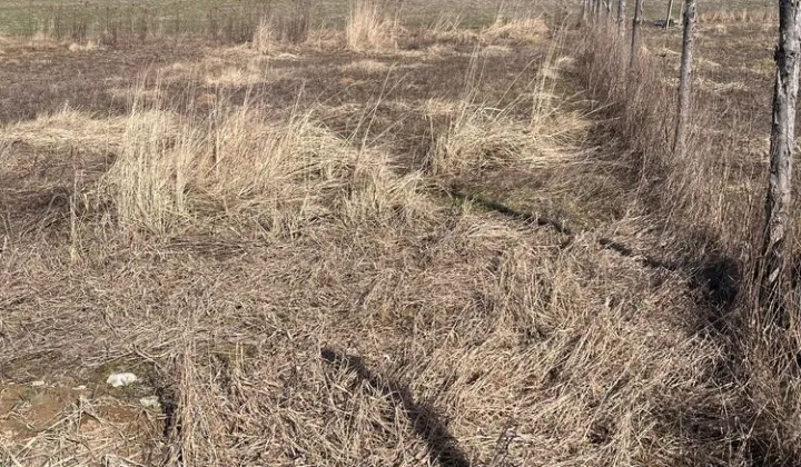 Działka budowlana Grabiny