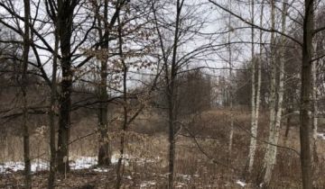 Działka siedliskowa Konopnica