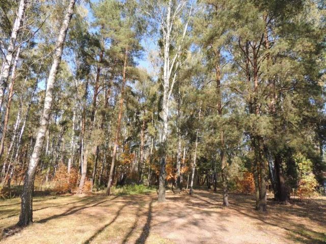 Działka rekreacyjna Warszawa Bemowo, ul. Kampinoska. Zdjęcie 1