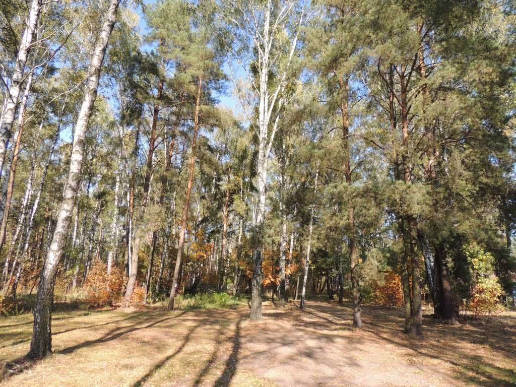 Działka rekreacyjna Warszawa Bemowo, ul. Kampinoska