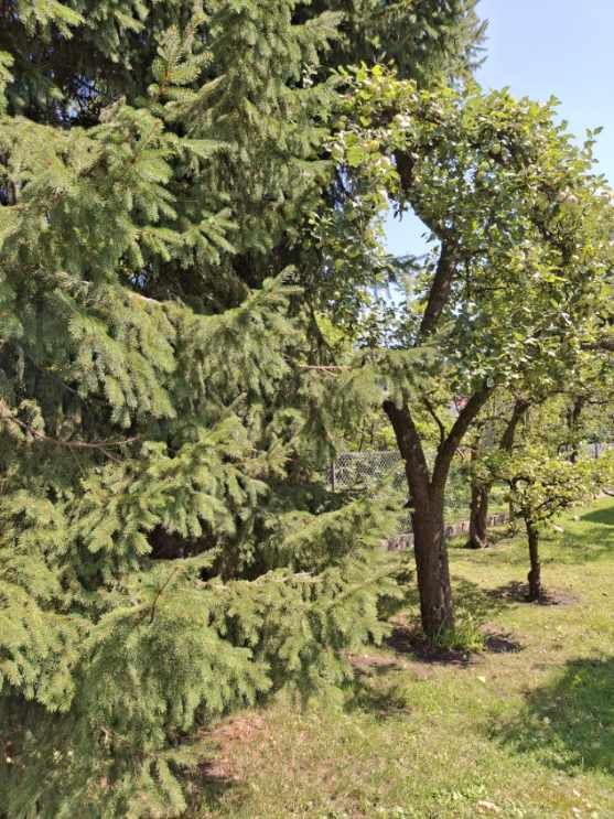 dom wolnostojący, 8 pokoi Wrocław Krzyki, ul. Radarowa. Zdjęcie 8