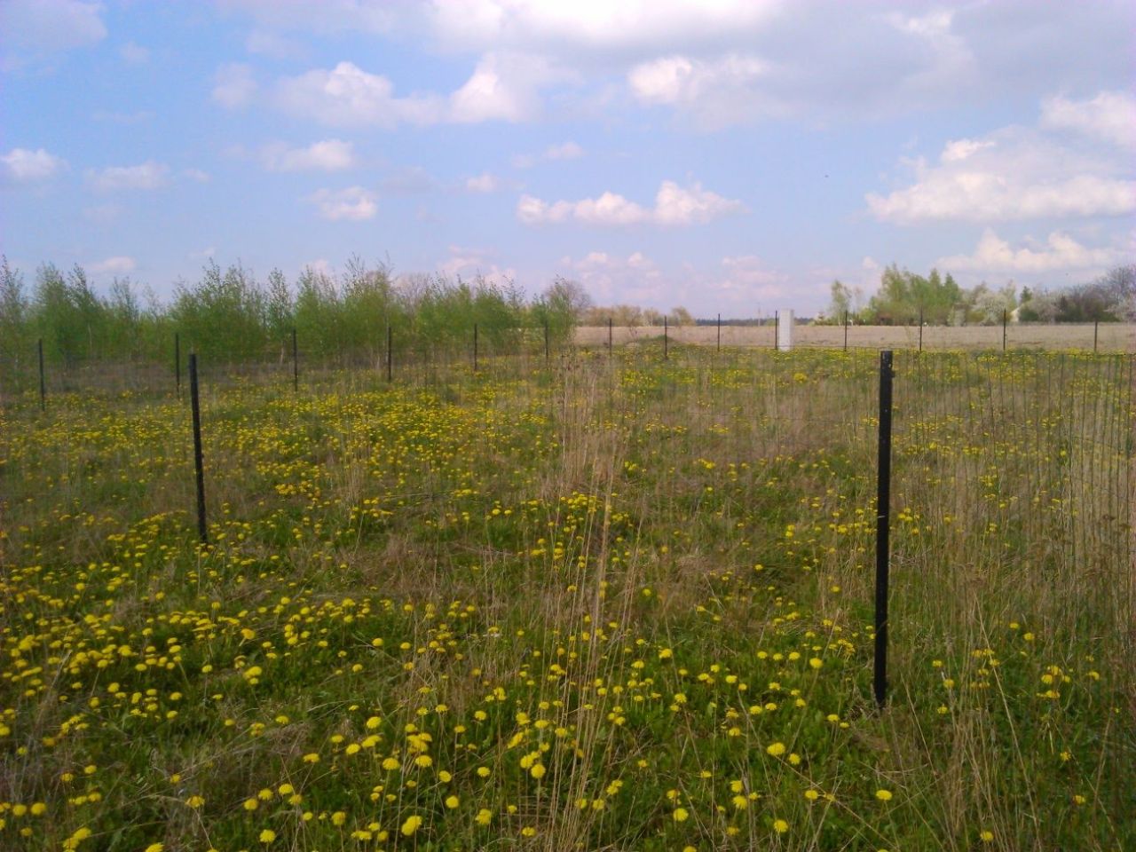 Działka budowlana Długie. Zdjęcie 8