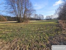 Działka rolna Kolonia Rozniszew. Zdjęcie 4