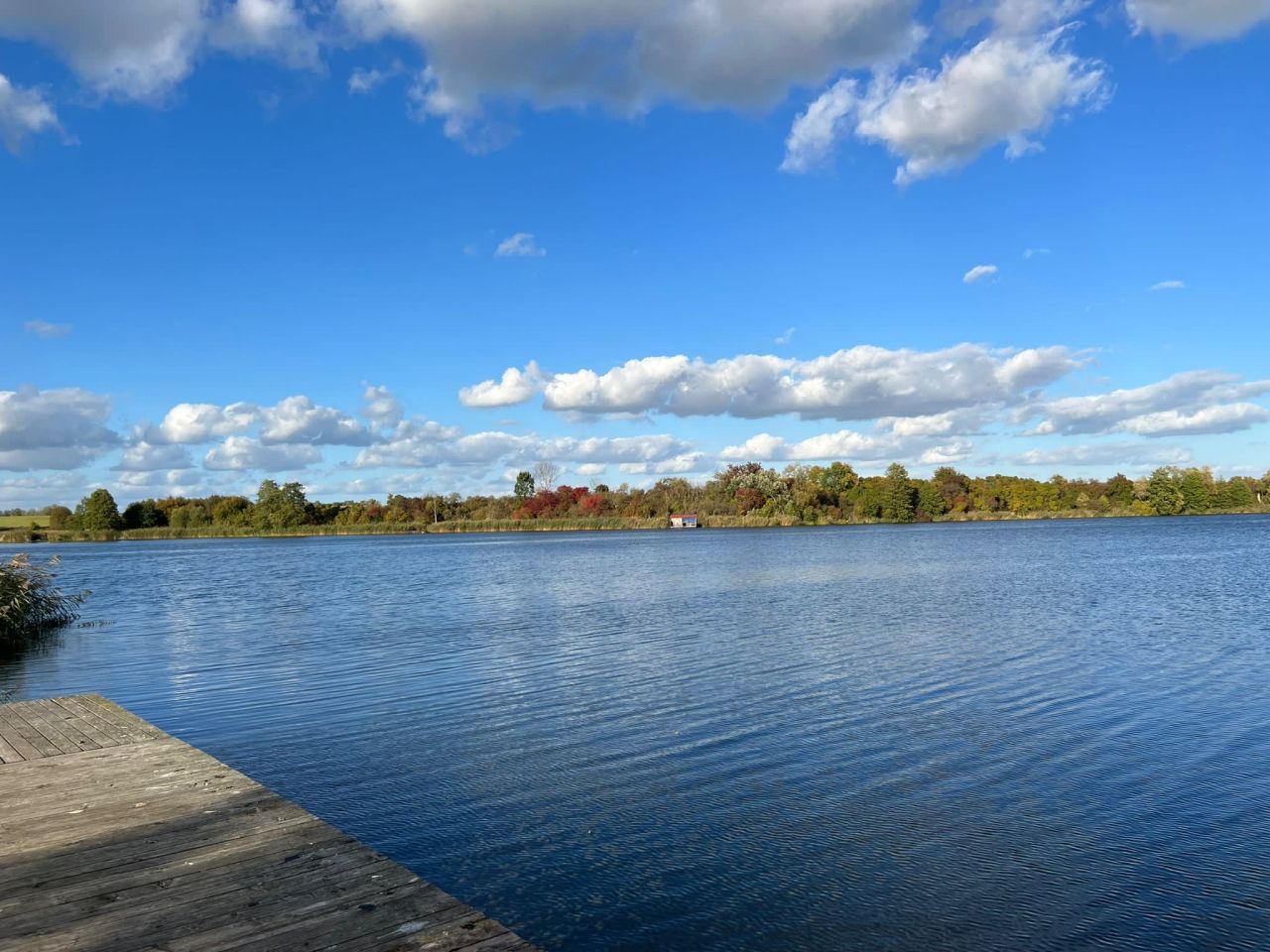 Działka budowlana Górzna. Zdjęcie 12