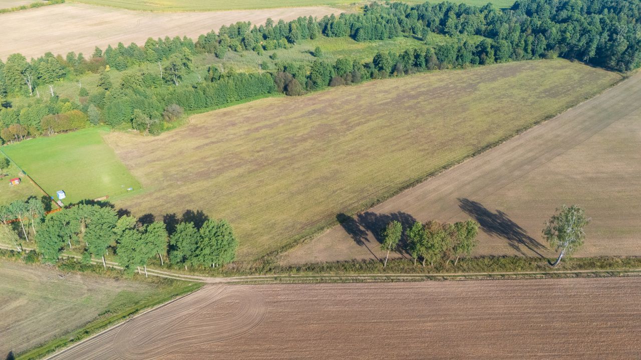 Działka budowlana Wierzbowo. Zdjęcie 6