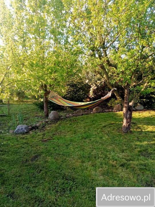 Działka rod Miłosław. Zdjęcie 5