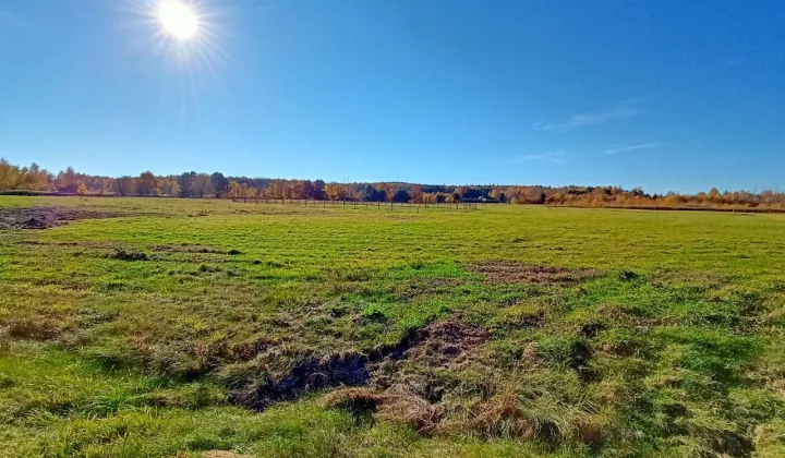 Działka budowlana Żarnów, ul. Górnicza