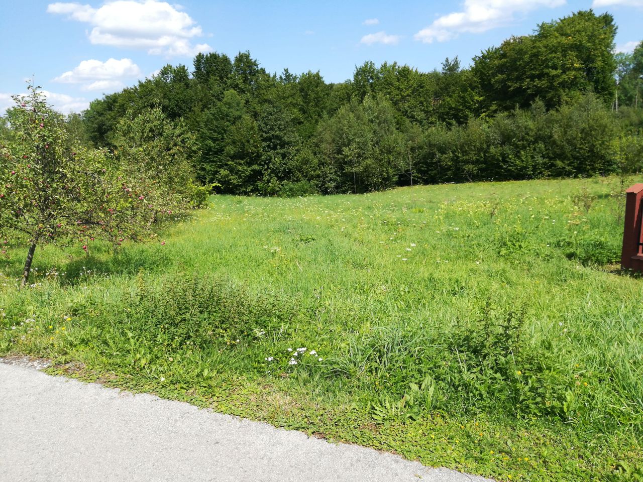 Działka inna Skawinki, ul. Leszczynowa. Zdjęcie 5