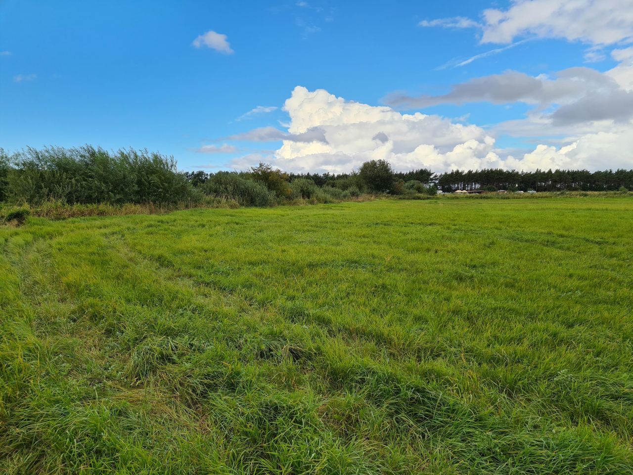 Nieruchomość komercyjna Kopań. Zdjęcie 12