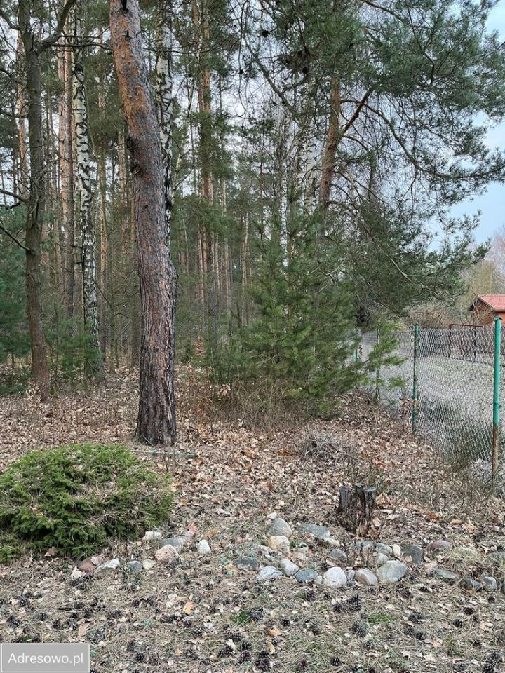 Działka Zofiówka, ul. Zabawna. Zdjęcie 6