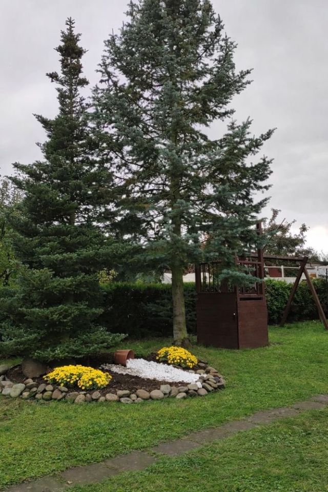 Działka rod Racibórz Ocice. Zdjęcie 8