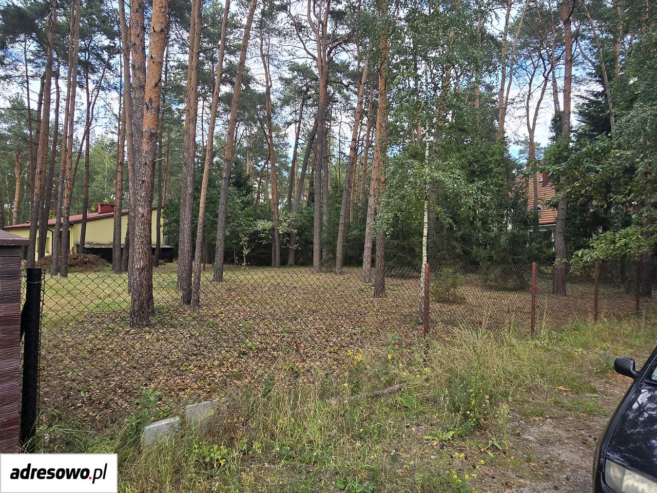 Działka budowlana Międzyborów, ul. Skłodowskiej-Curie. Zdjęcie 2