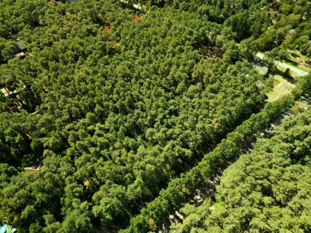 Działka inwestycyjna Sokolniki-Las. Zdjęcie 1
