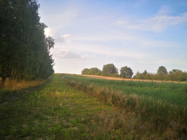 Działka budowlana Tarnowskie Góry Repty. Zdjęcie 1