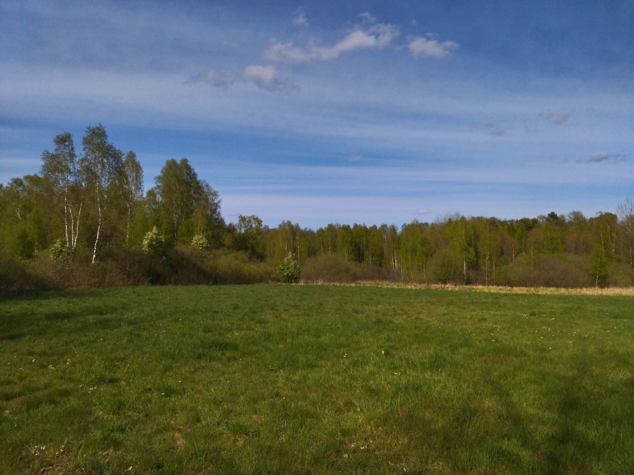 Działka budowlana Wielimowo. Zdjęcie 13