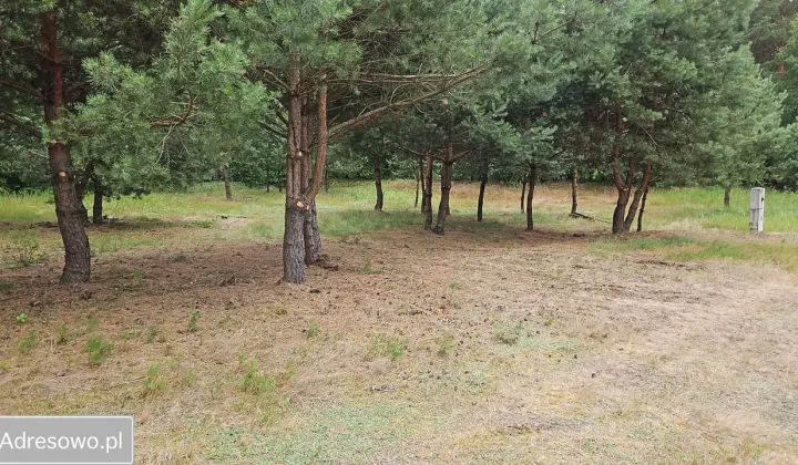 Działka budowlana Czernikówko Wały