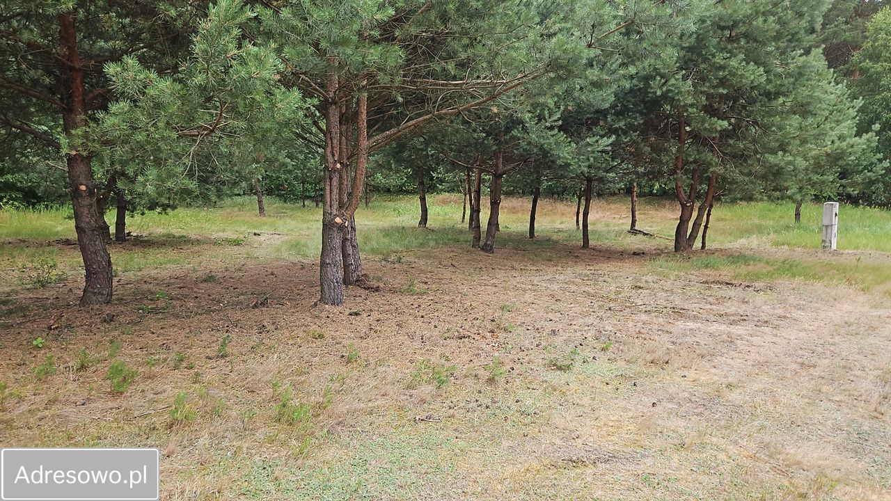Działka budowlana Czernikówko Wały. Zdjęcie 1