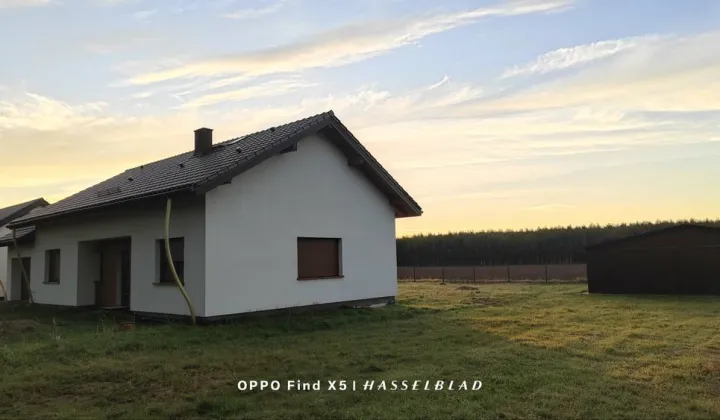 dom wolnostojący Wirwilty
