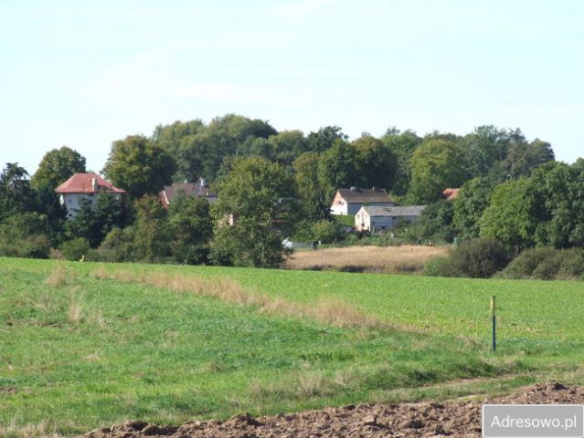 Działka rolna Siadło Górne. Zdjęcie 1