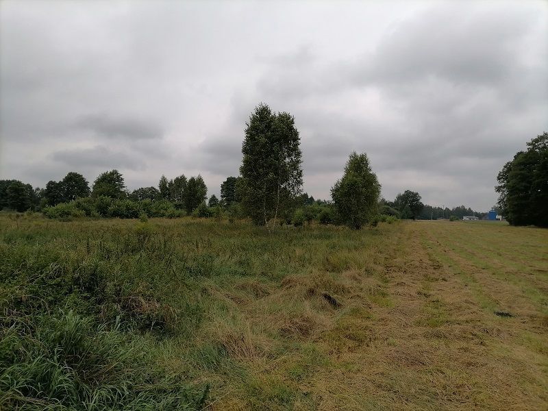 Działka rolno-budowlana Stara Grabownica. Zdjęcie 5