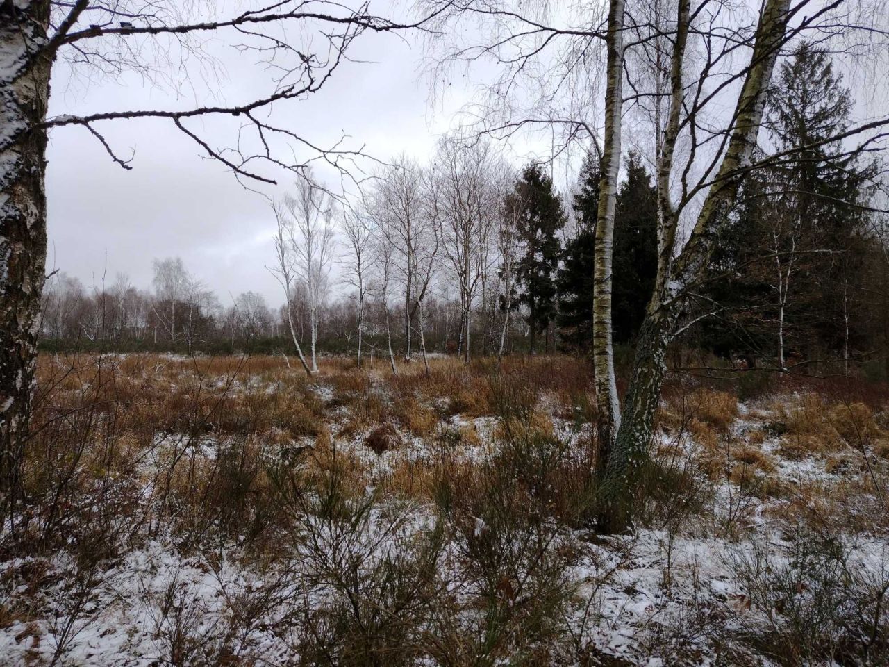 Działka rolna Ciemnik. Zdjęcie 6