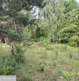 Działka inwestycyjna Brzóze Małe. Zdjęcie 4