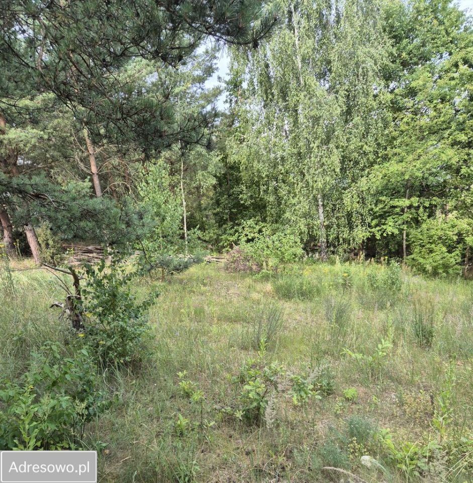 Działka inwestycyjna Brzóze Małe. Zdjęcie 5