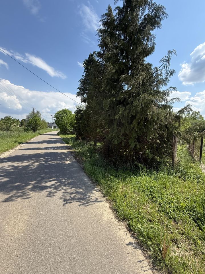 dom wolnostojący, 3 pokoje Cybulice, ul. Borkowa. Zdjęcie 8