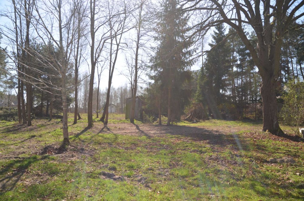 Działka rolno-budowlana Kaleń. Zdjęcie 4