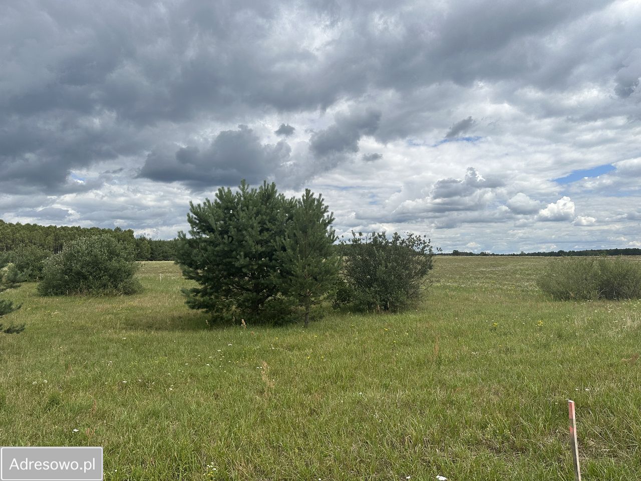 Działka rekreacyjna Dołgie. Zdjęcie 6