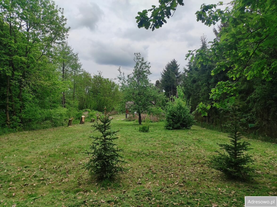 Działka budowlana Izbiska. Zdjęcie 9