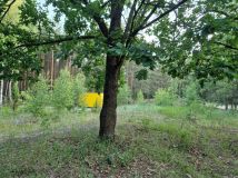 Działka budowlana Smólnik. Zdjęcie 3